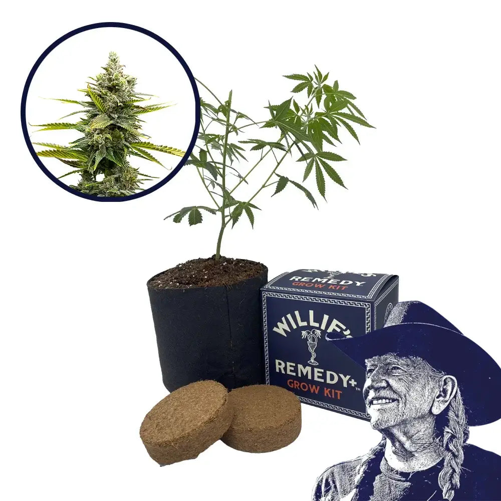 Critical Mass Strain Grow Kit