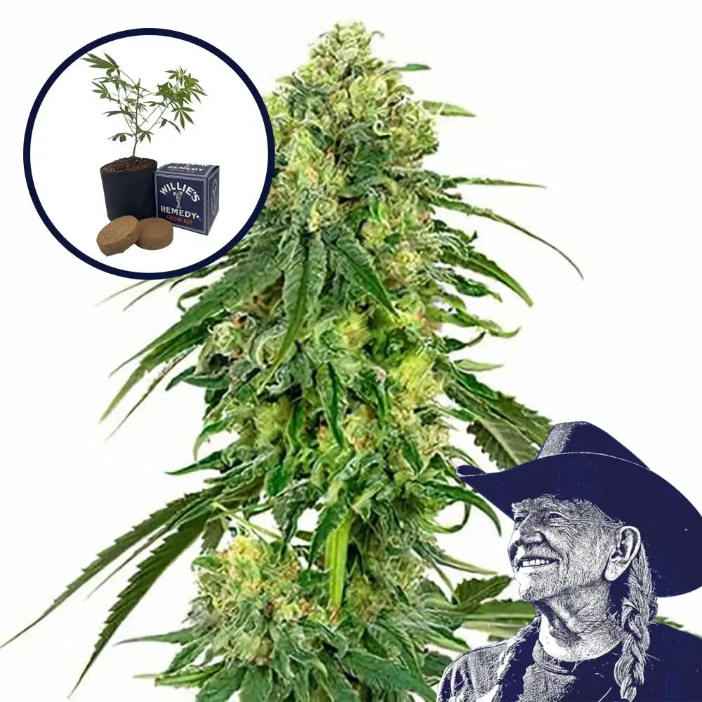Deadhead OG Grow Kit