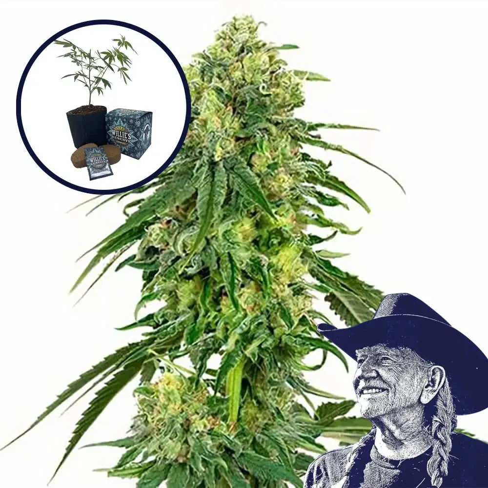 Deadhead OG High Yield Grow Kit