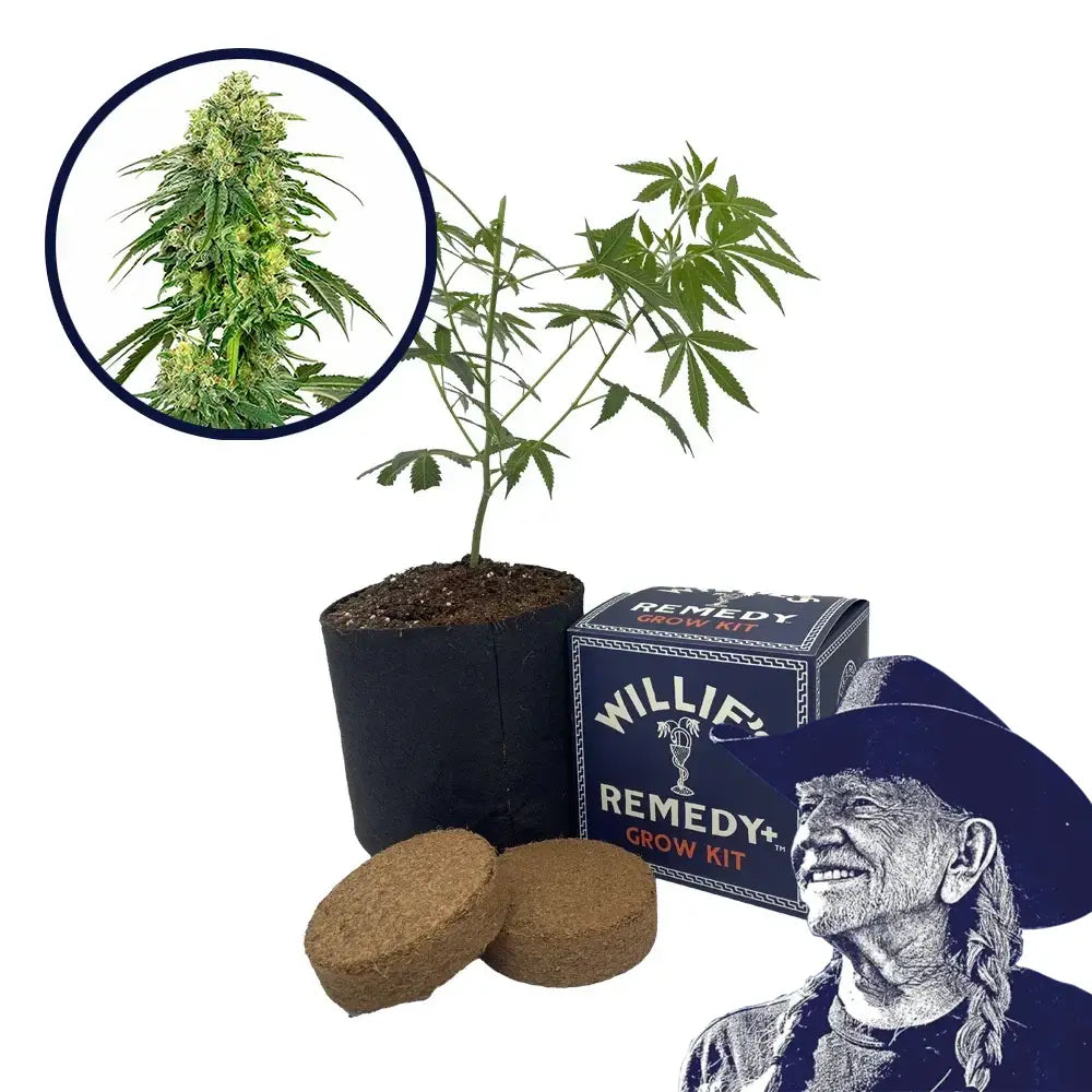 Deadhead OG Strain Grow Kit