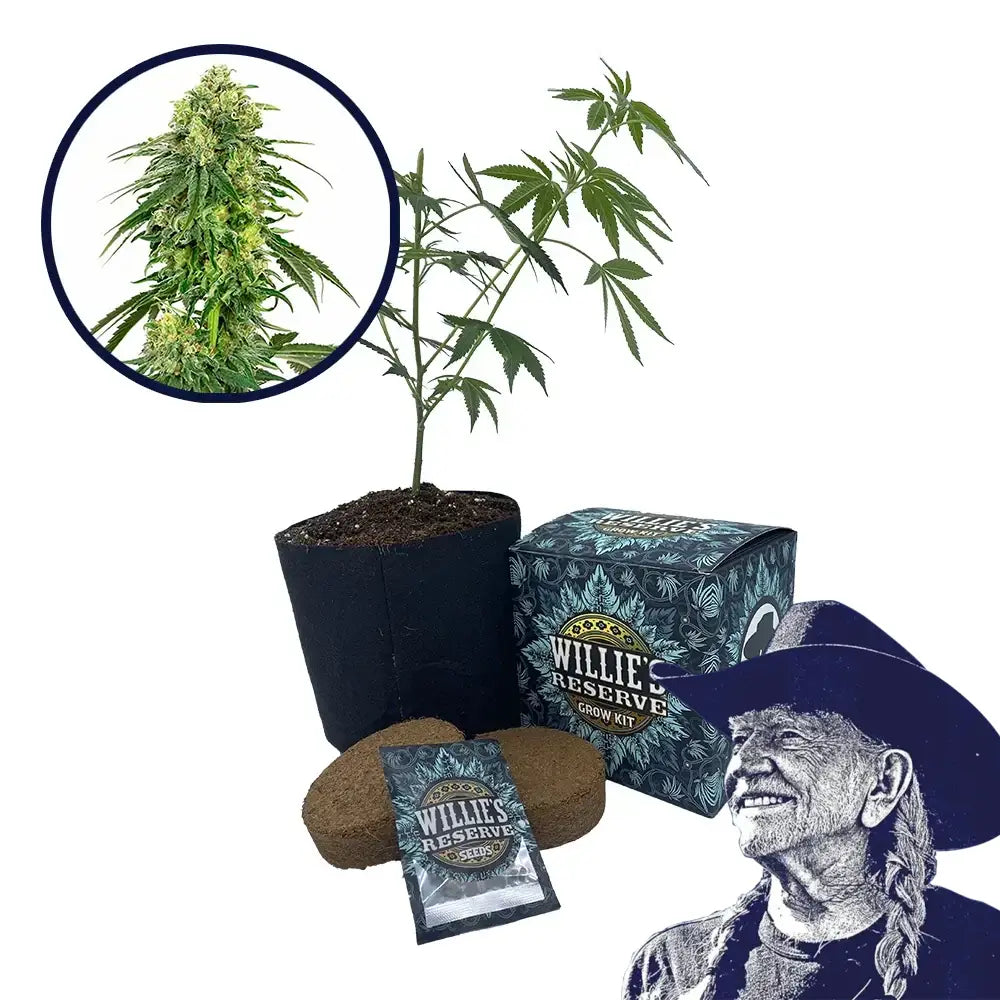 Deadhead OG Strain High Yield Grow Kit