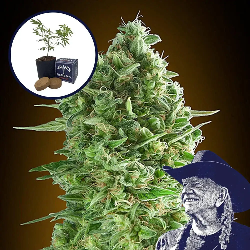 Do-Si-Dos Grow Kit