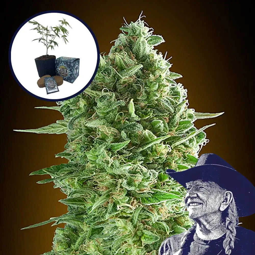 Do-Si-Dos High Yield Grow Kit
