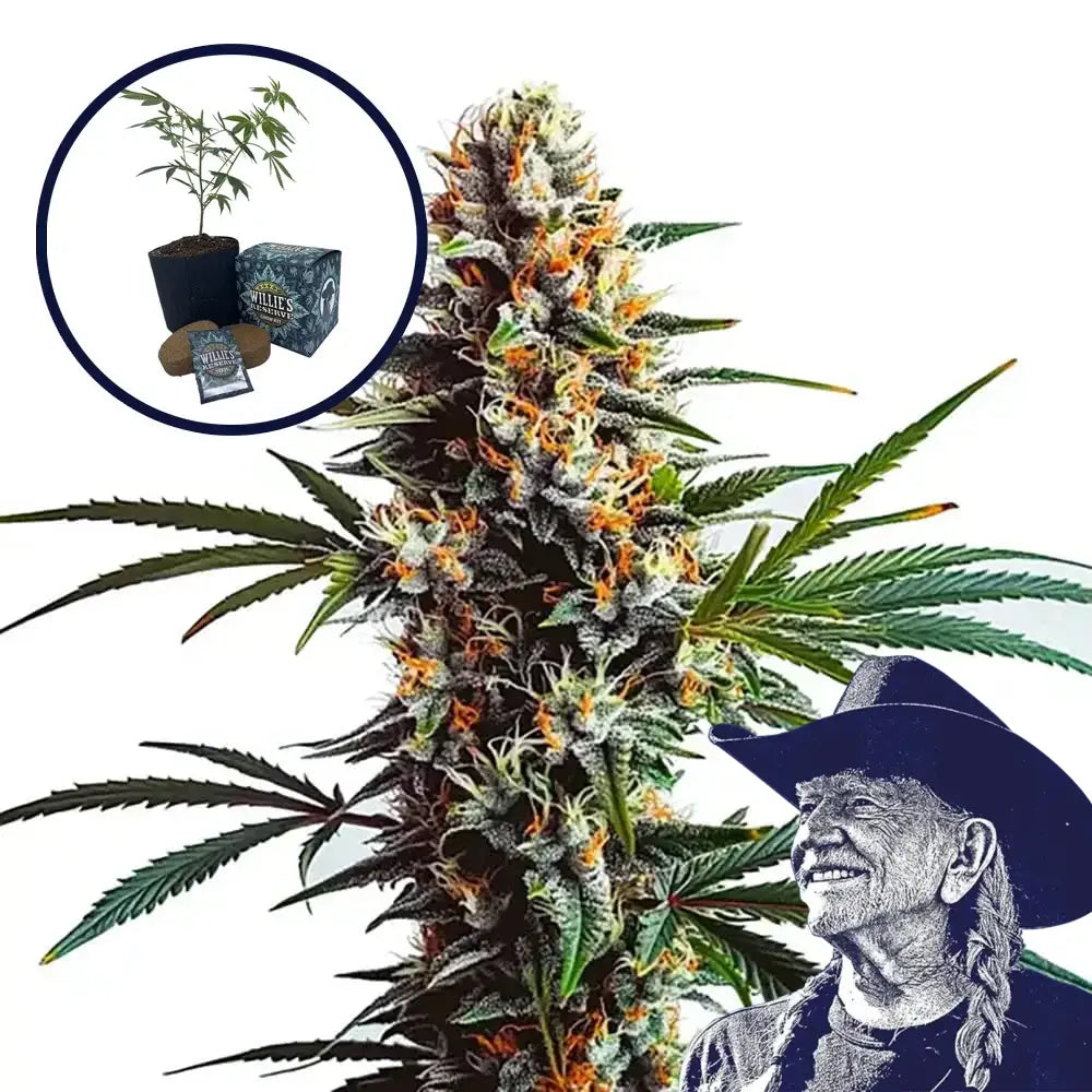 Doug’s Varin High Yield Grow Kit