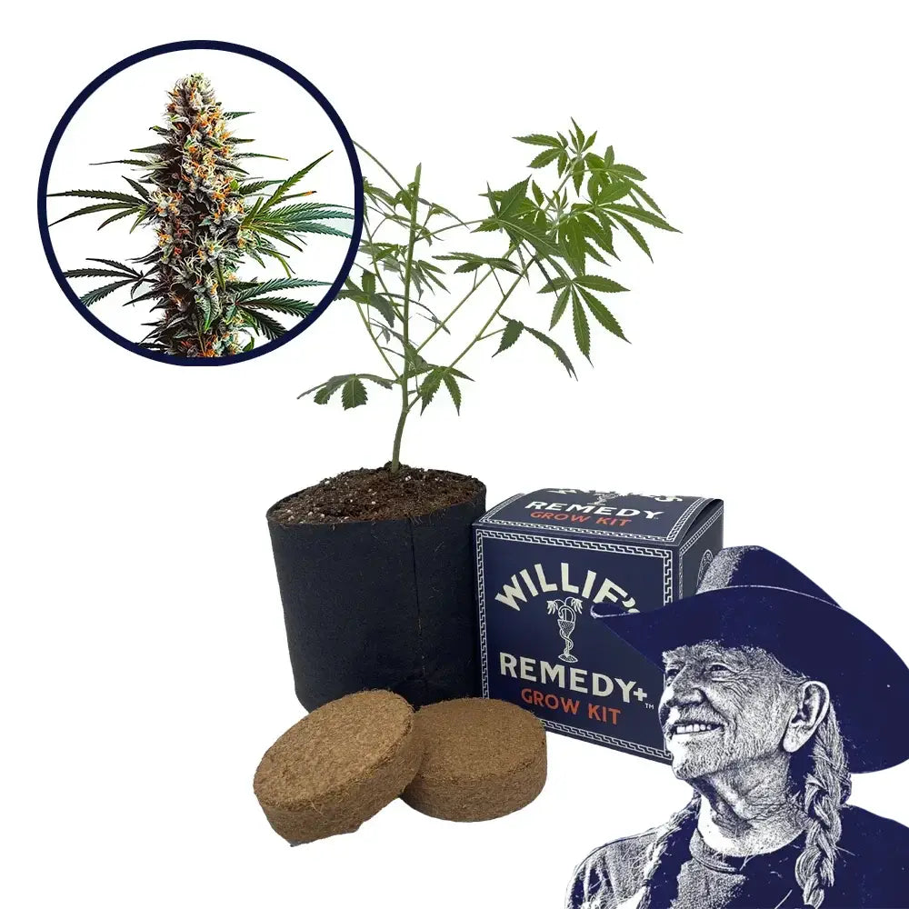 Doug’s Varin Strain Grow Kit