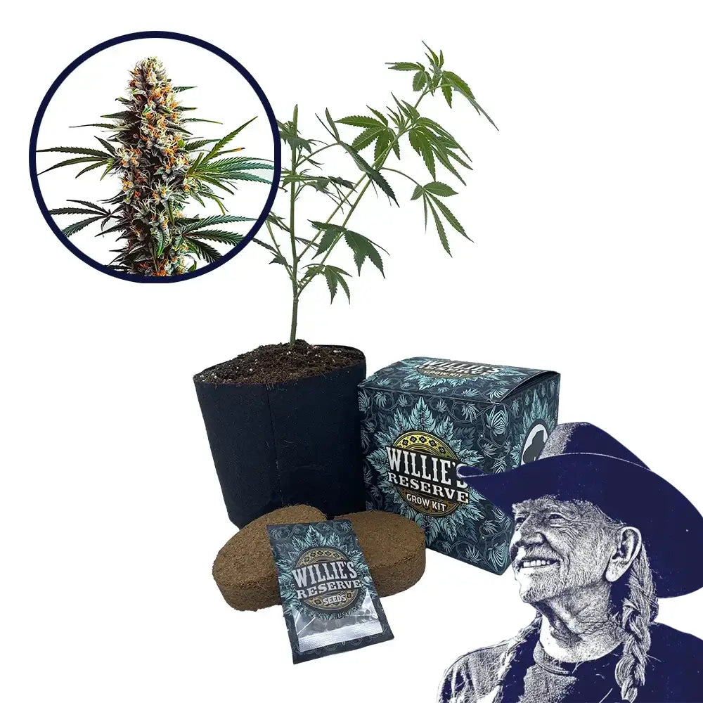 Doug’s Varin Strain High Yield Grow Kit