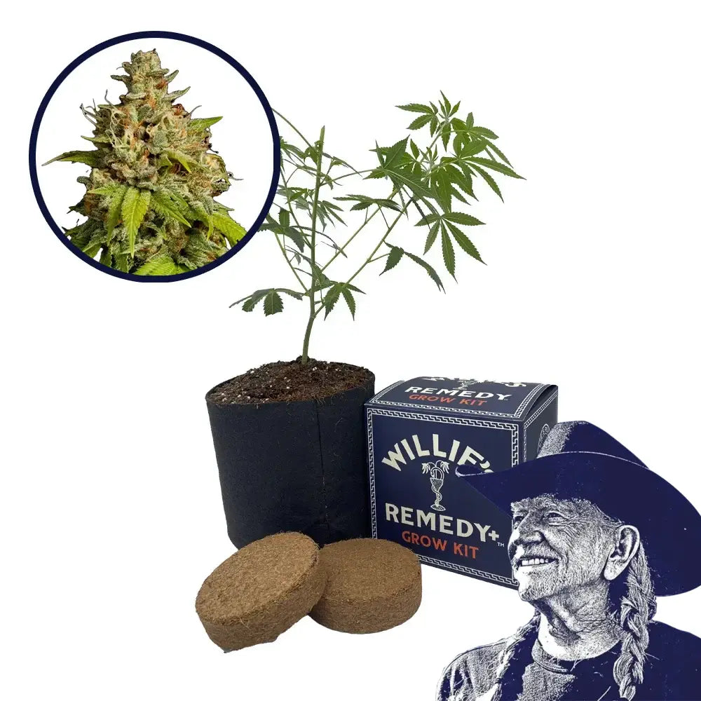 Durban Poison Strain Grow Kit