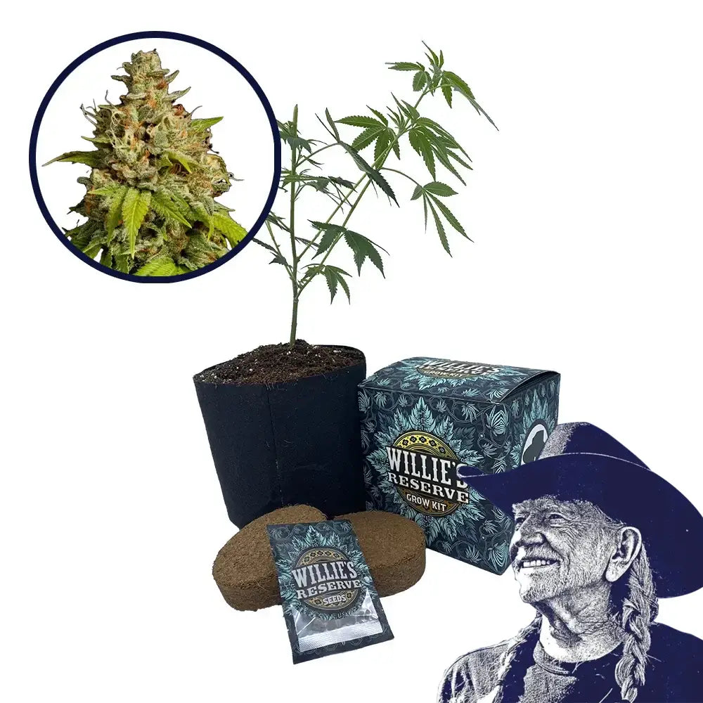 Durban Poison Strain High Yield Grow Kit