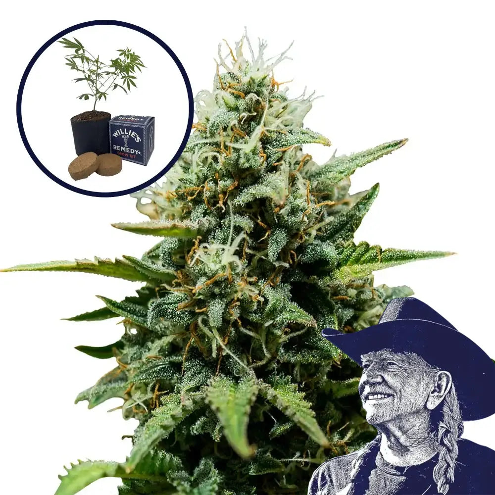 Fat Banana Grow Kit