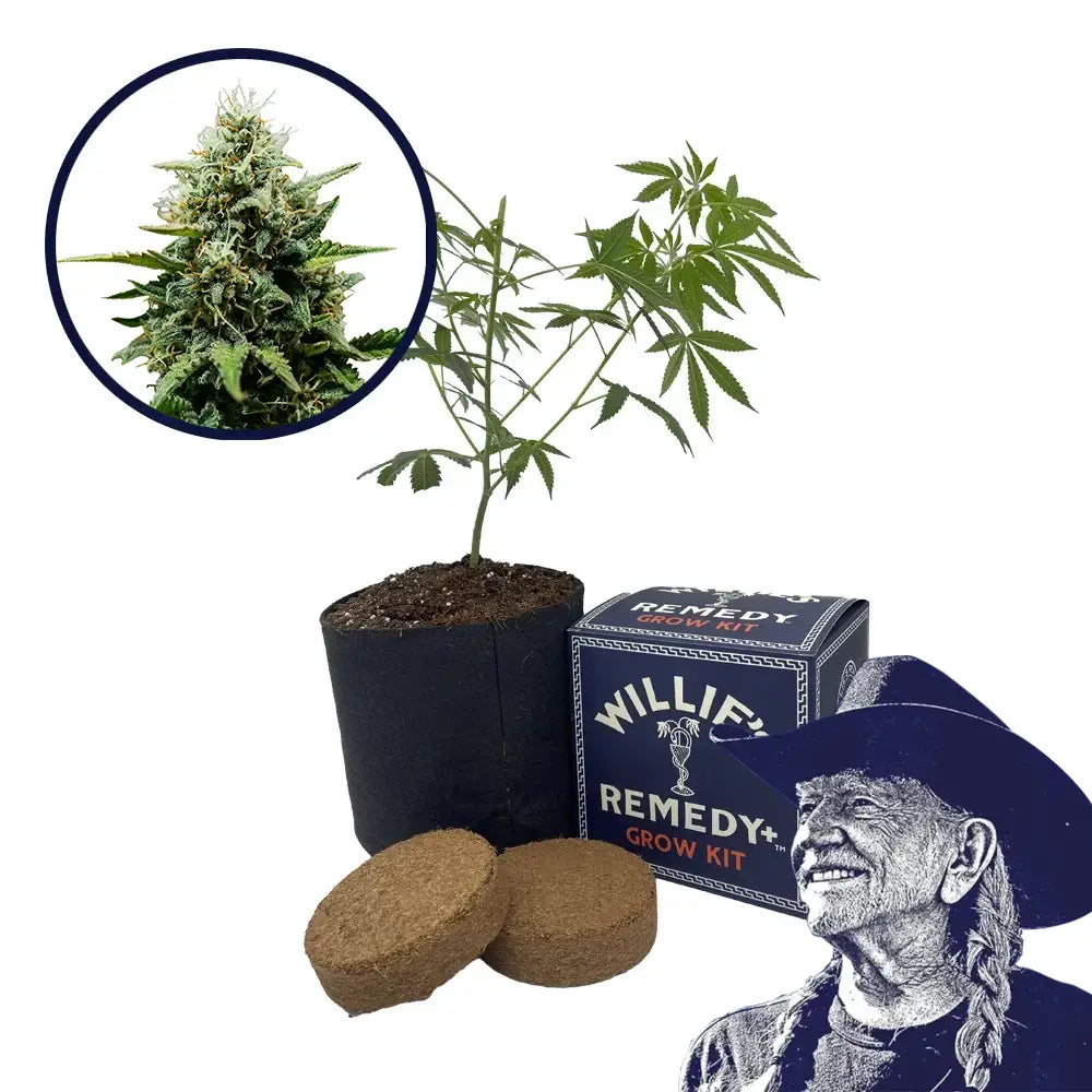 Fat Banana Strain Grow Kit