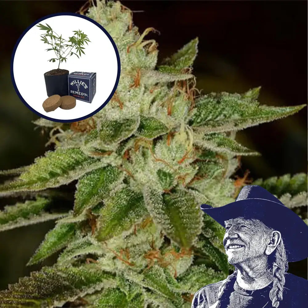 Fire OG Grow Kit