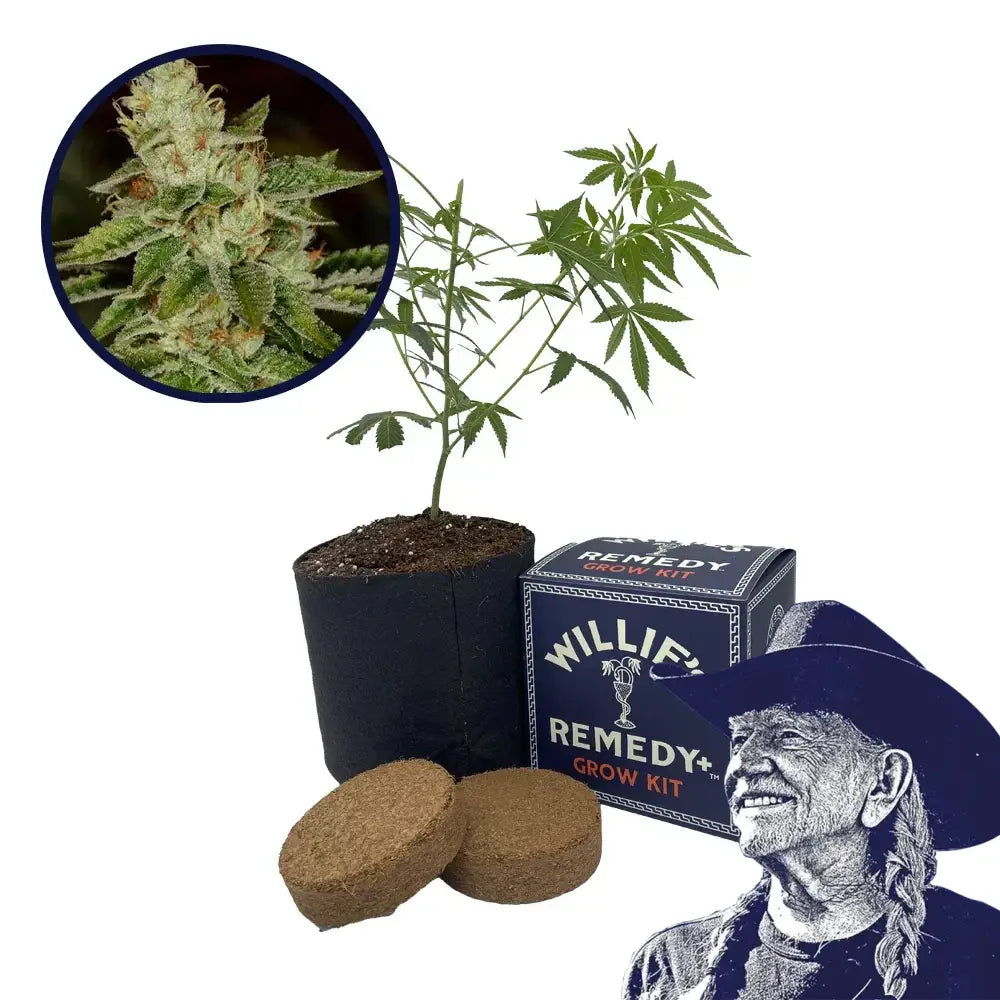 Fire OG Strain Grow Kit