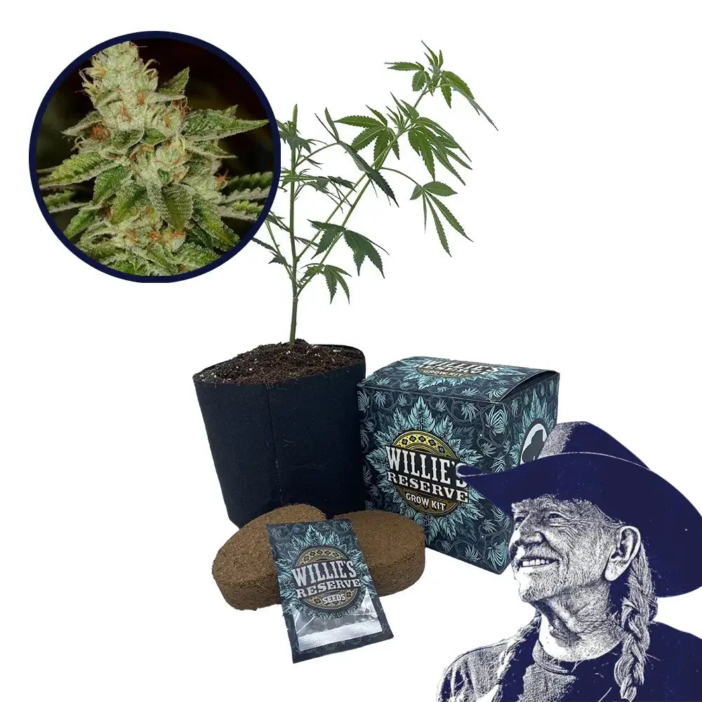 Fire OG Strain High Yield Grow Kit