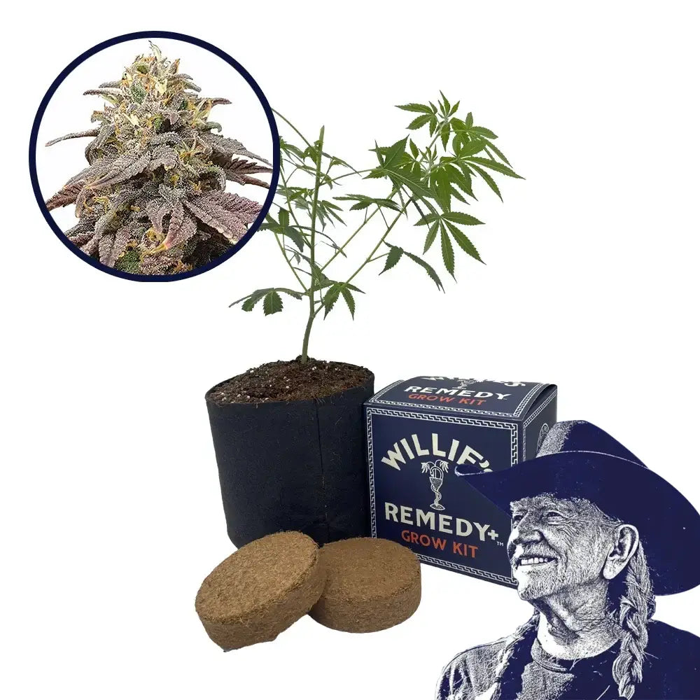 Forbidden Fruit Strain Grow Kit (THCA)
