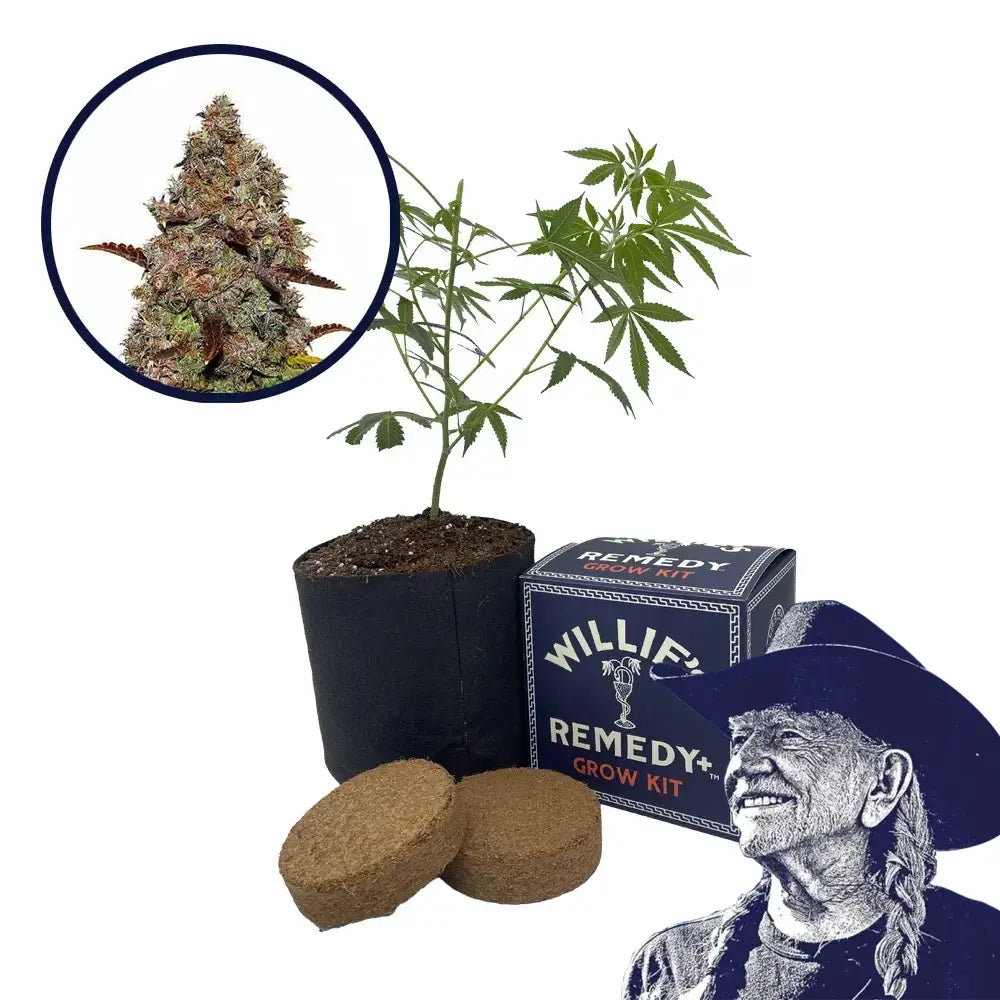 Gelato Strain Grow Kit