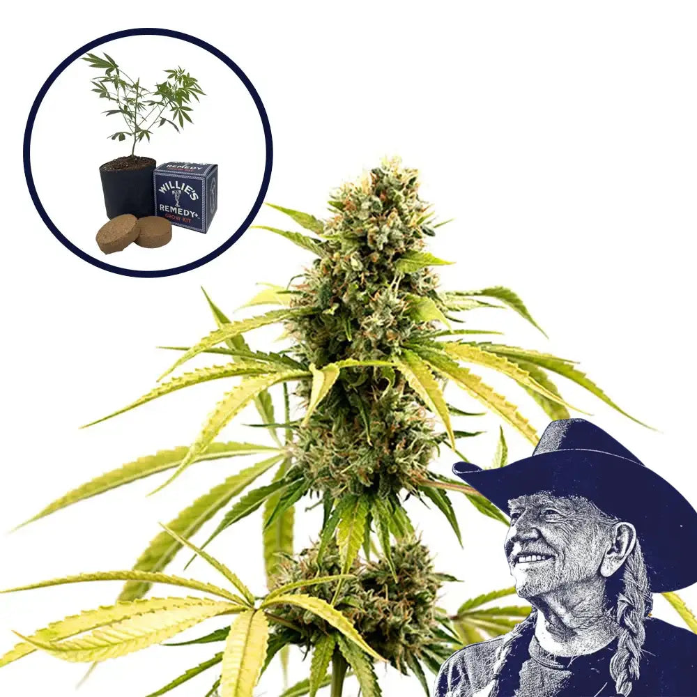 GG4 Grow Kit
