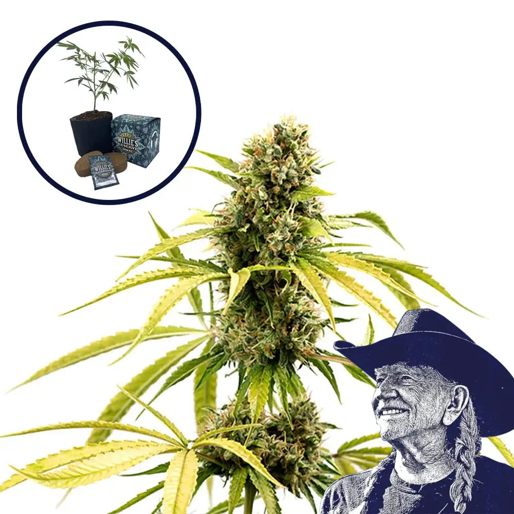 GG4 High Yield Grow Kit