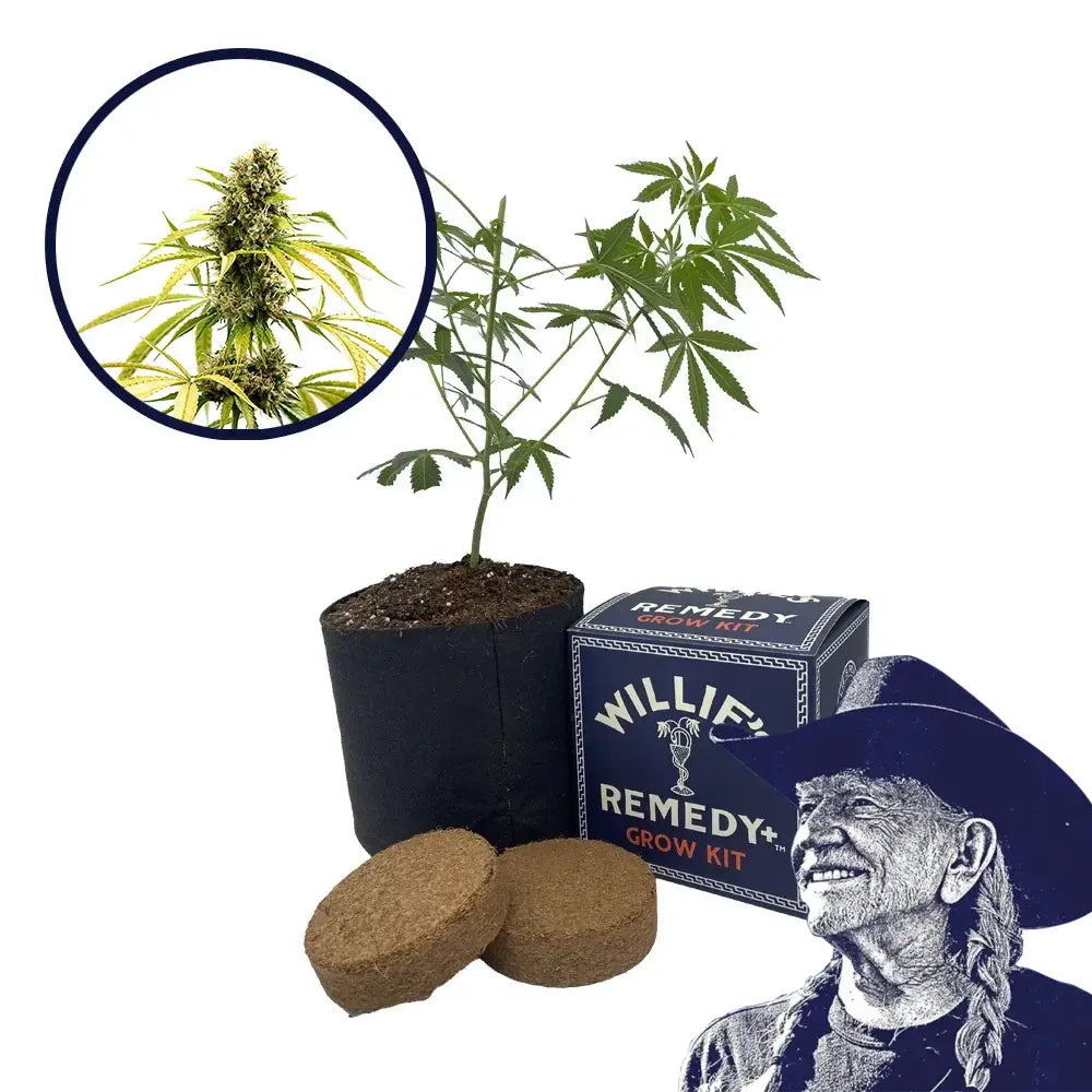 GG4 Strain Grow Kit