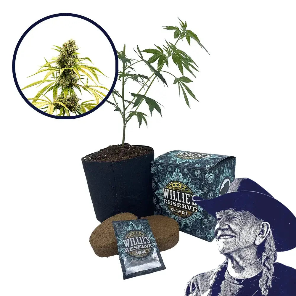 GG4 Strain High Yield Grow Kit