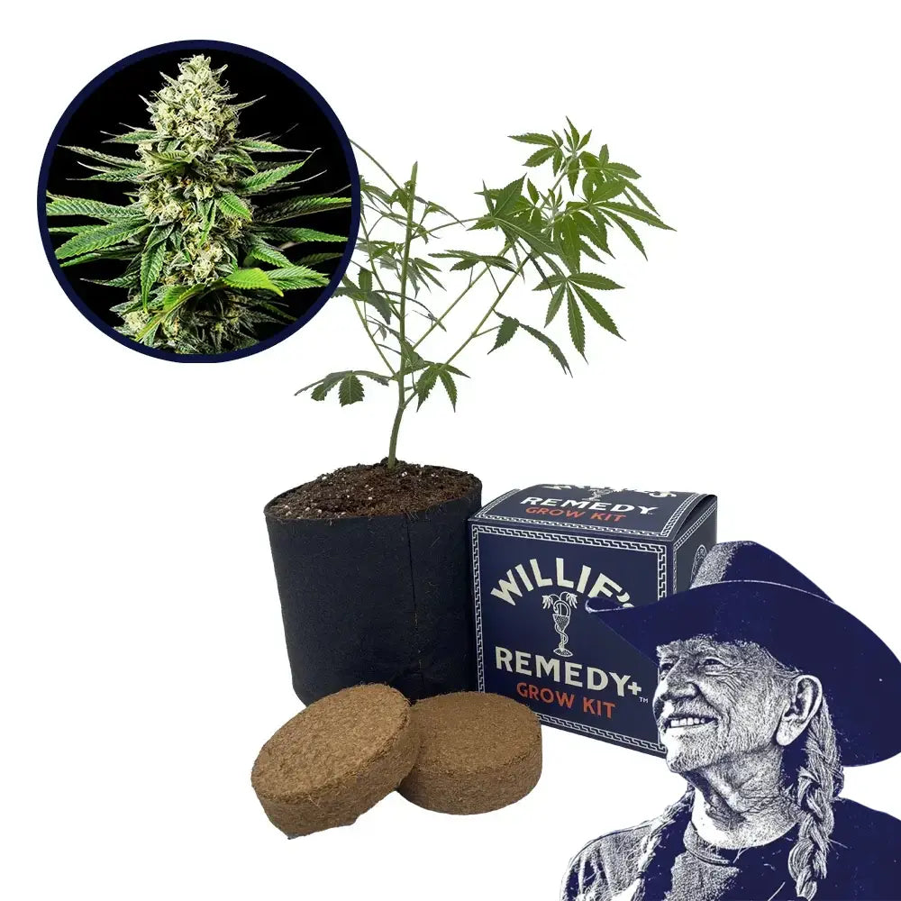 Ghost OG Strain Grow Kit