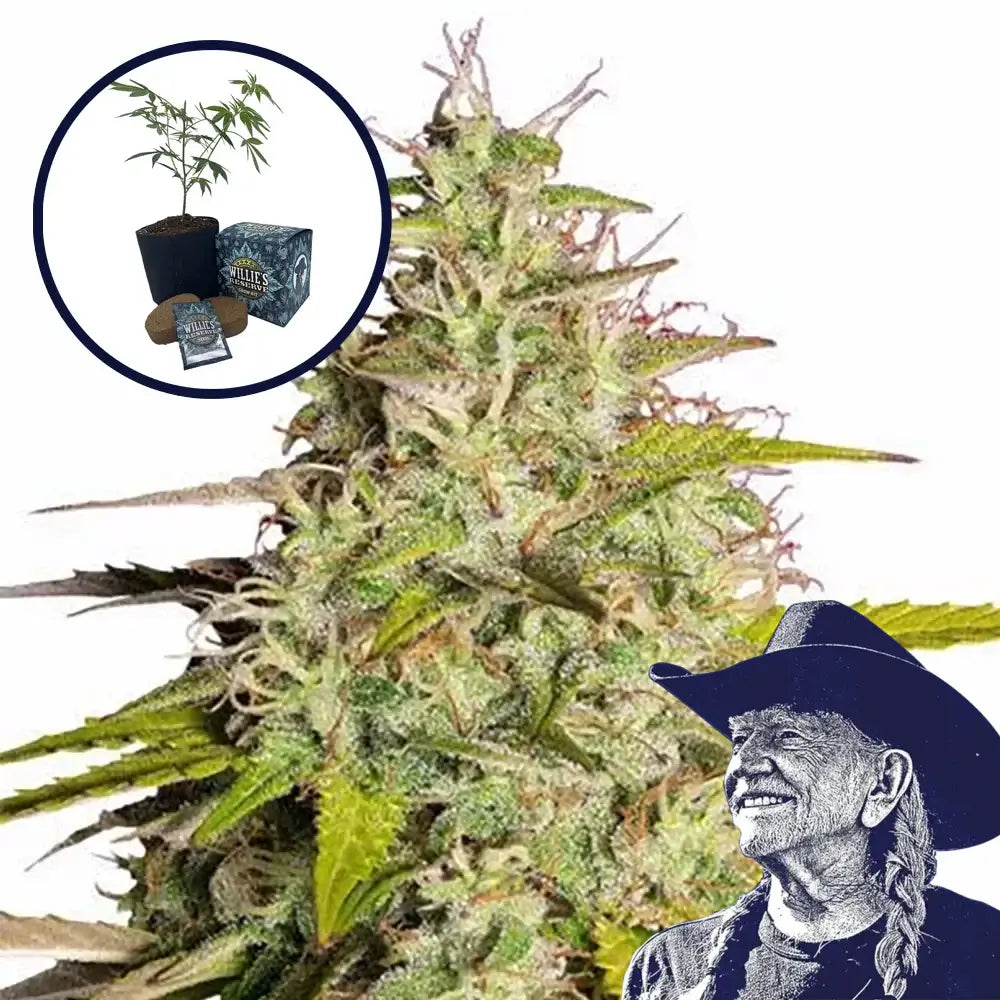Girl Scout Cookies High Yield Grow Kit
