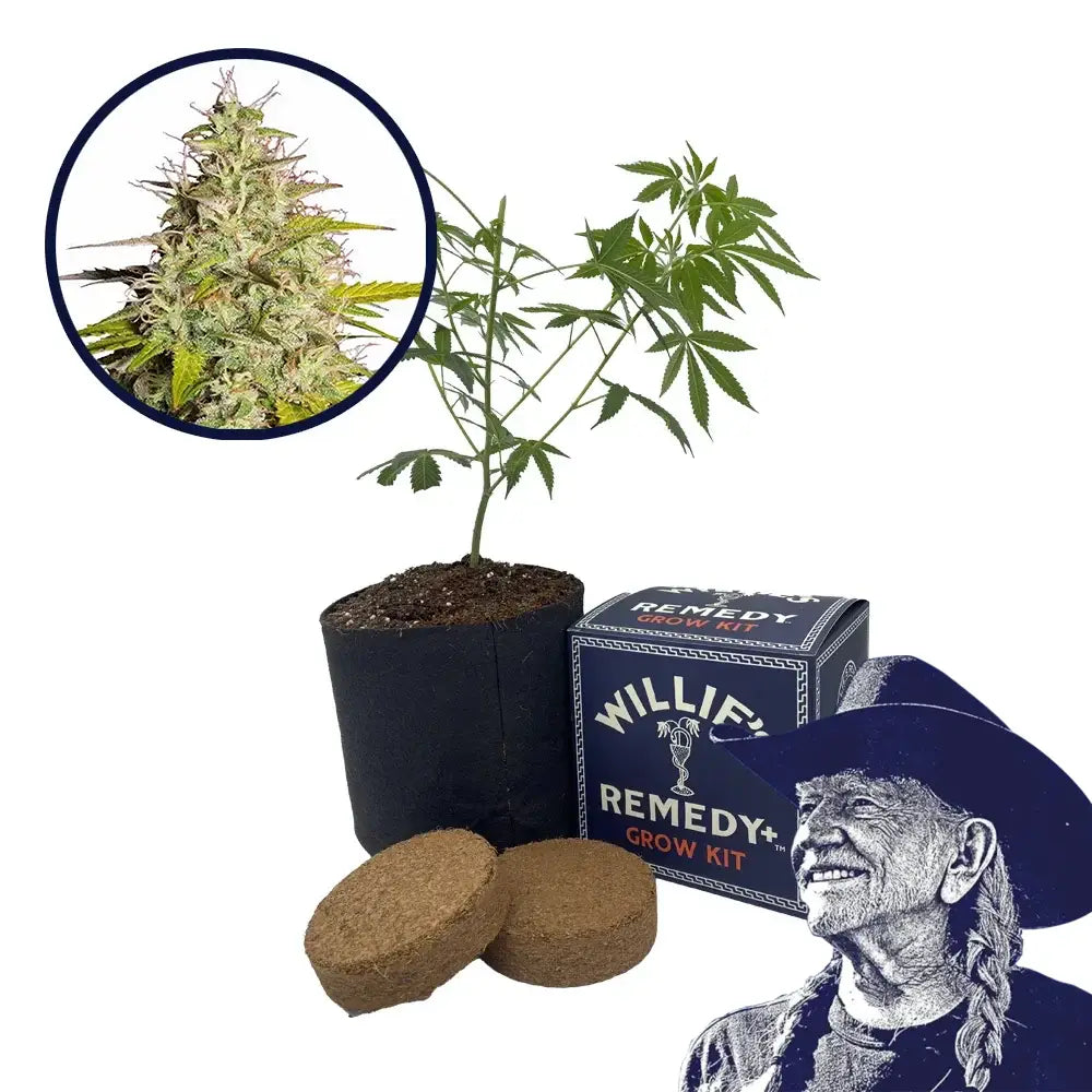 Girl Scout Cookies Strain Grow Kit