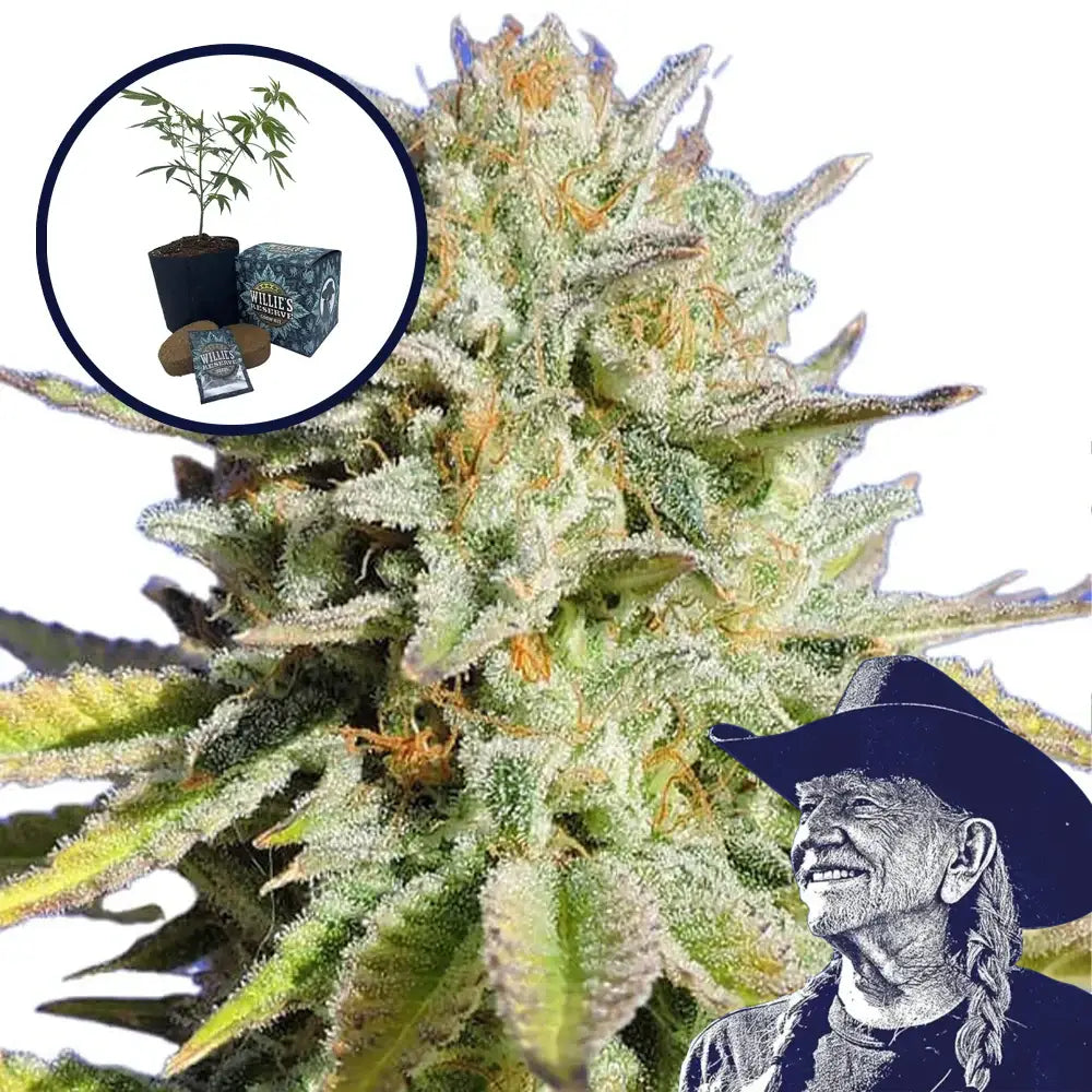 Gorilla Glue High Yield Grow Kit