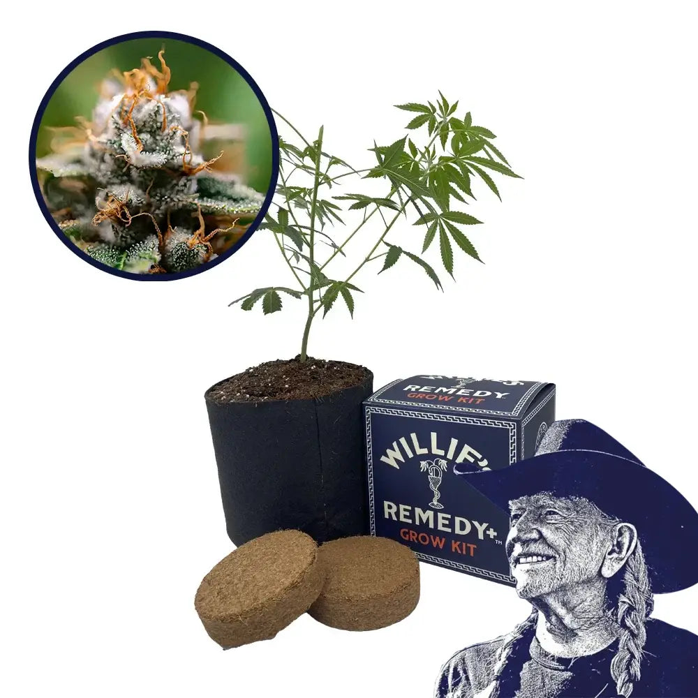 Gorilla Glue x Skywalker OG Platinum Line Strain Grow Kit