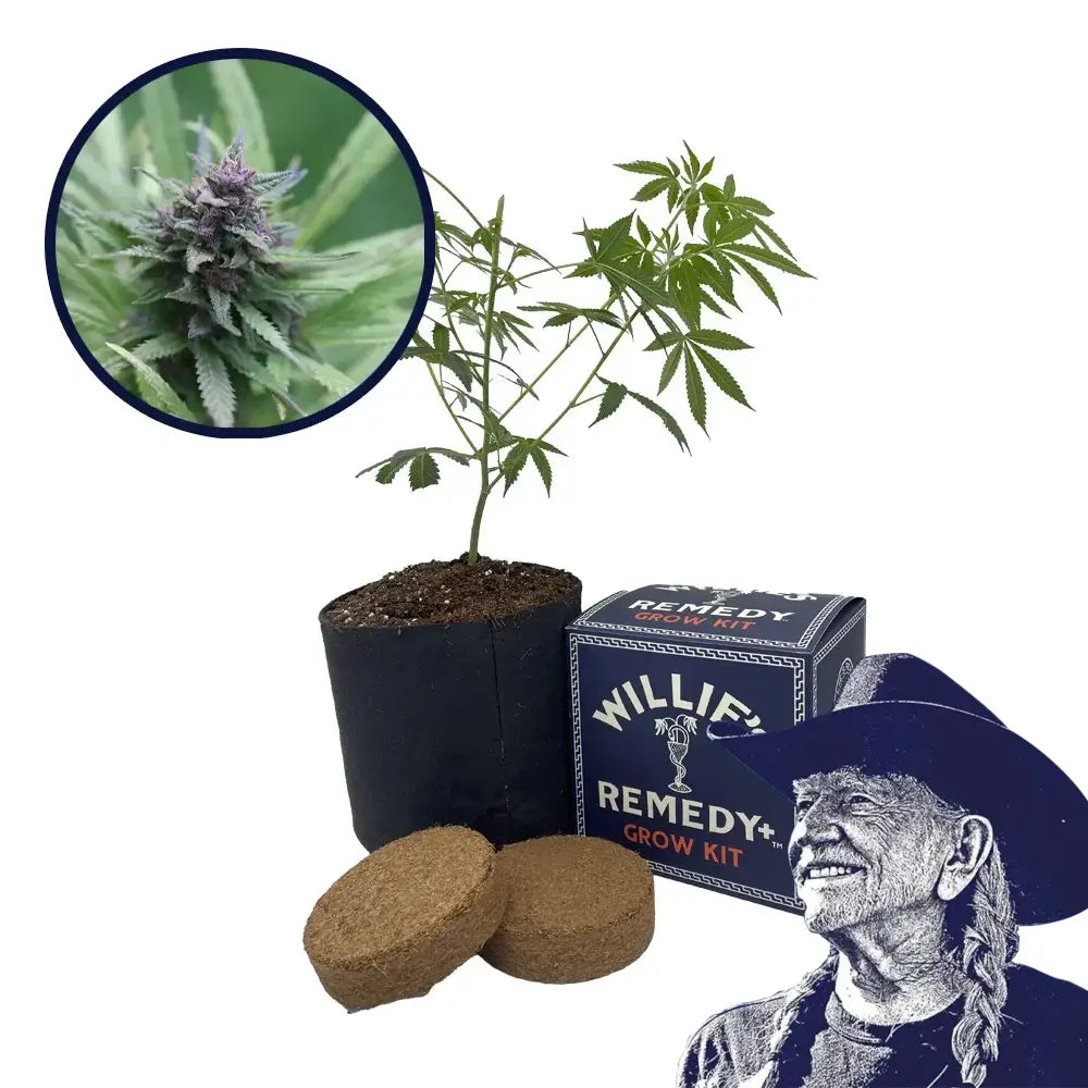 Grape Ape Strain Grow Kit