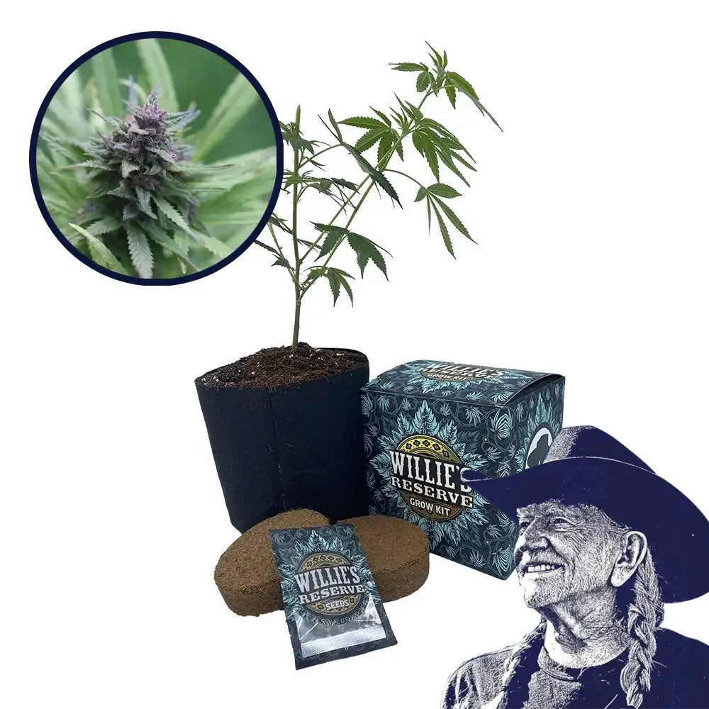 Grape Ape Strain High Yield Grow Kit