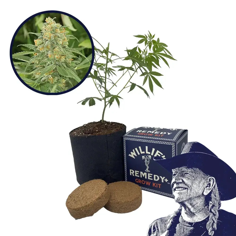 Green Crack Strain Grow Kit