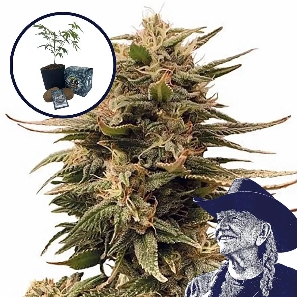 Harlequin High Yield Grow Kit