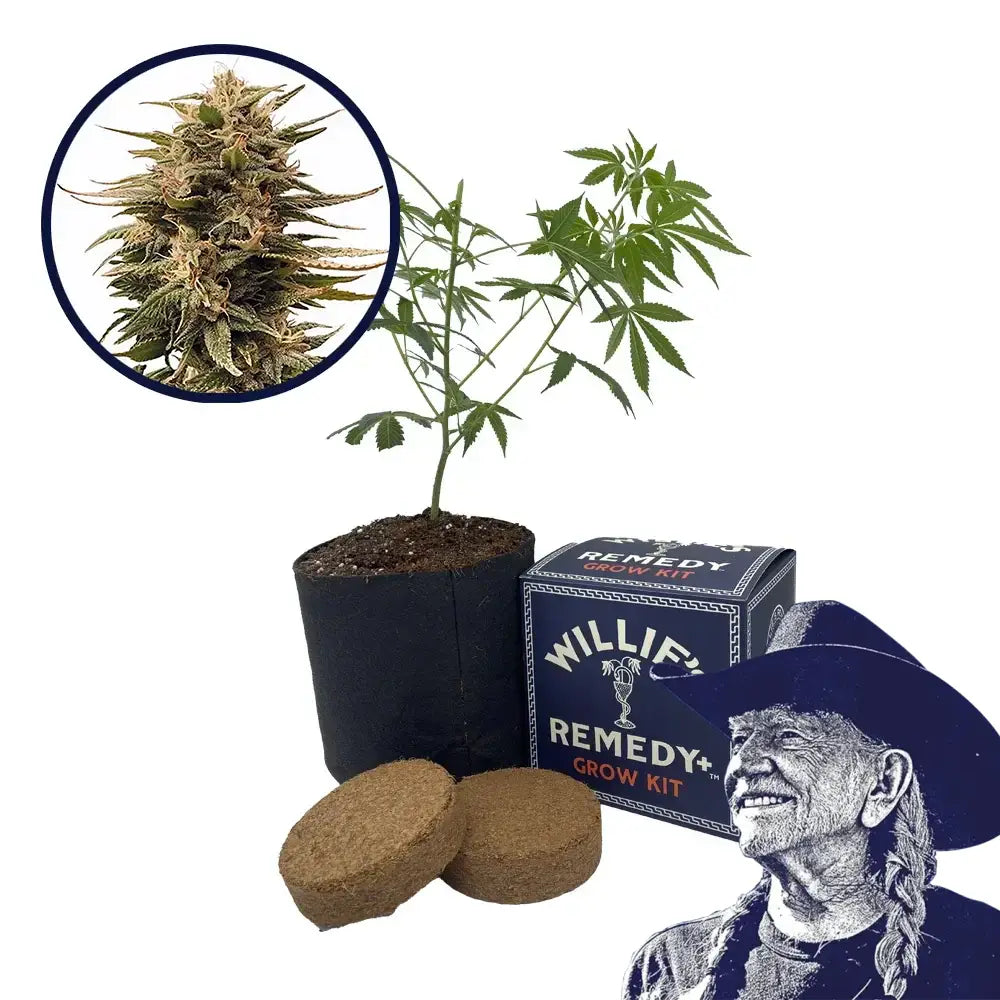 Harlequin Strain Grow Kit