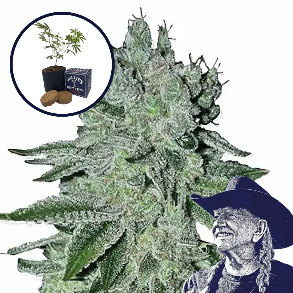 Headband Grow Kit