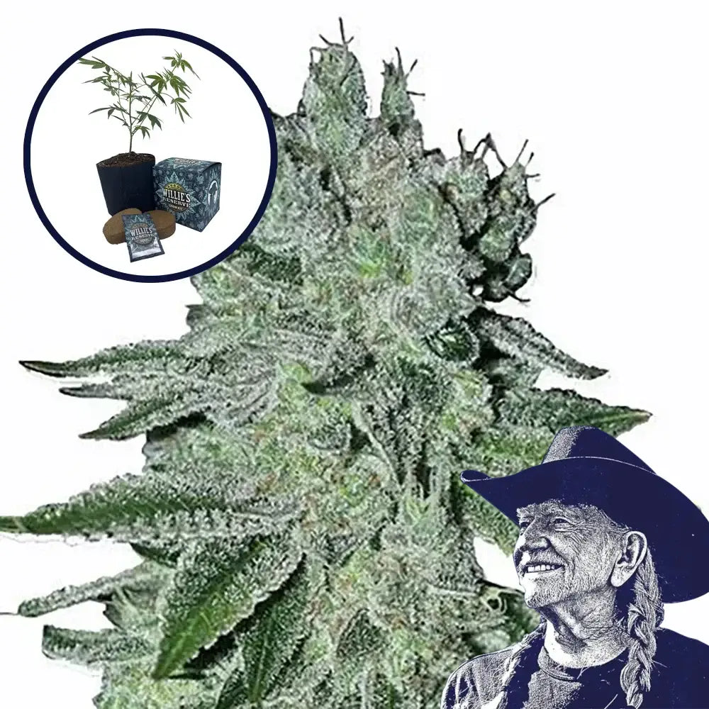 Headband High Yield Grow Kit