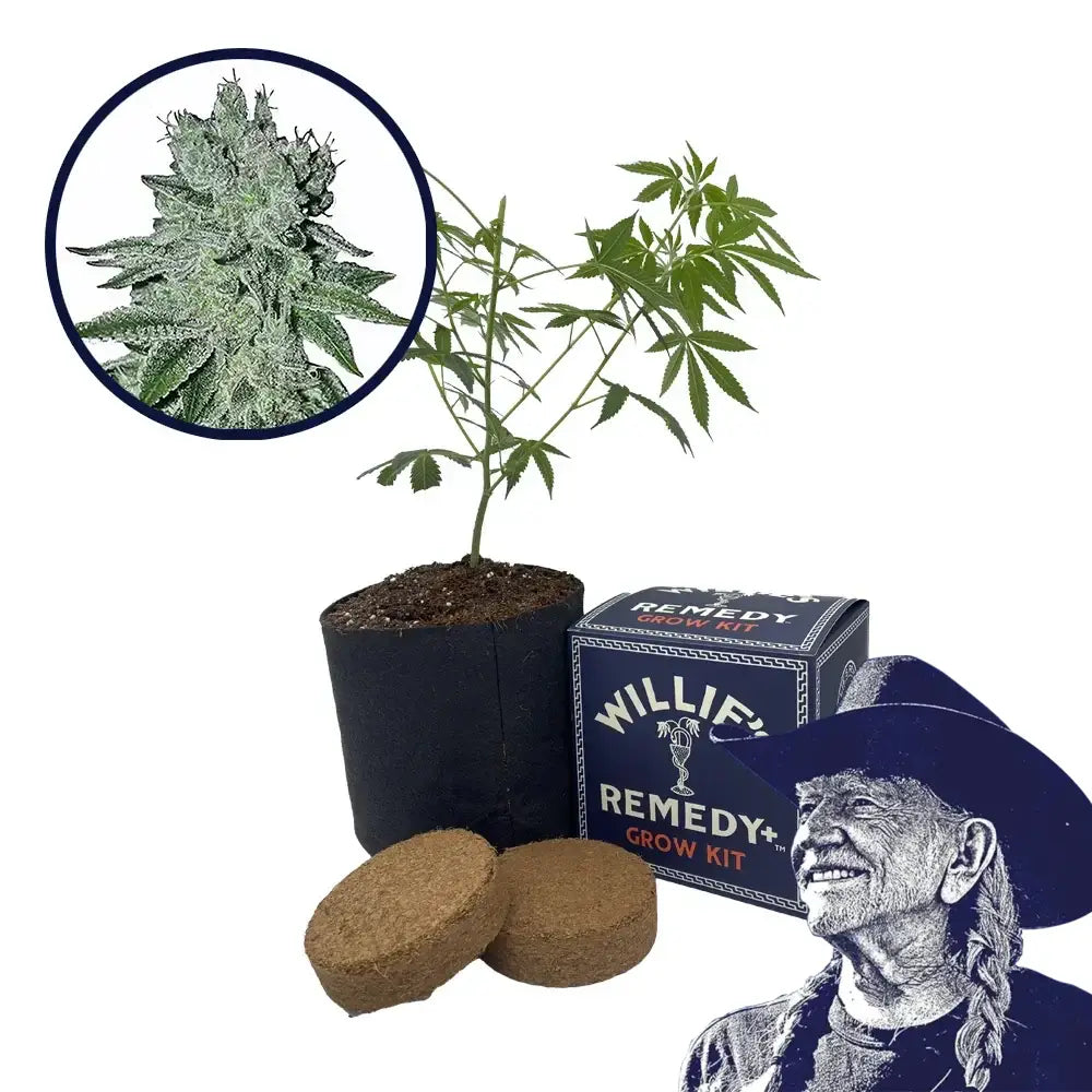 Headband Strain Grow Kit
