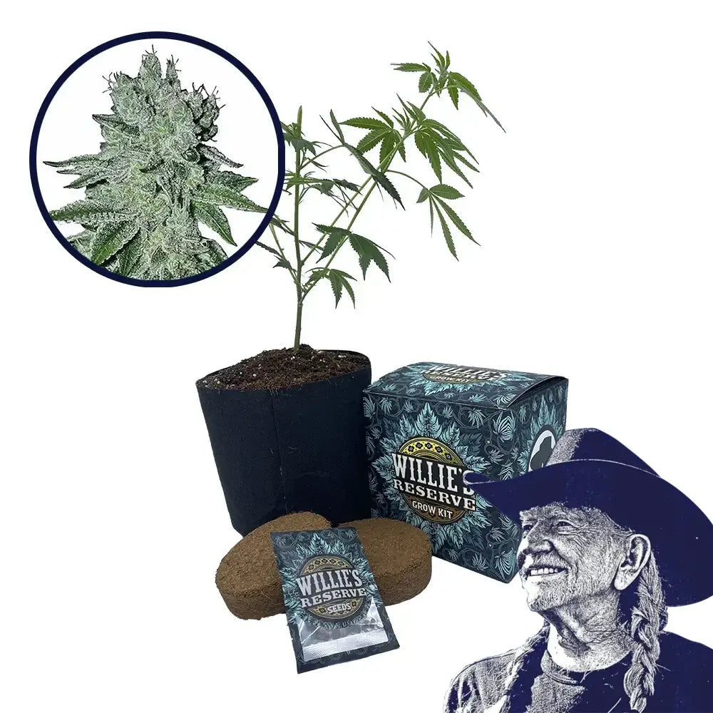 Headband Strain High Yield Grow Kit