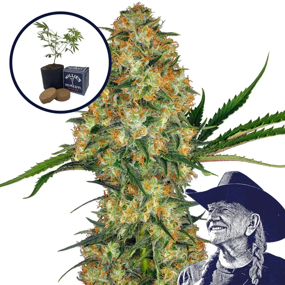 Hindu Kush Grow Kit