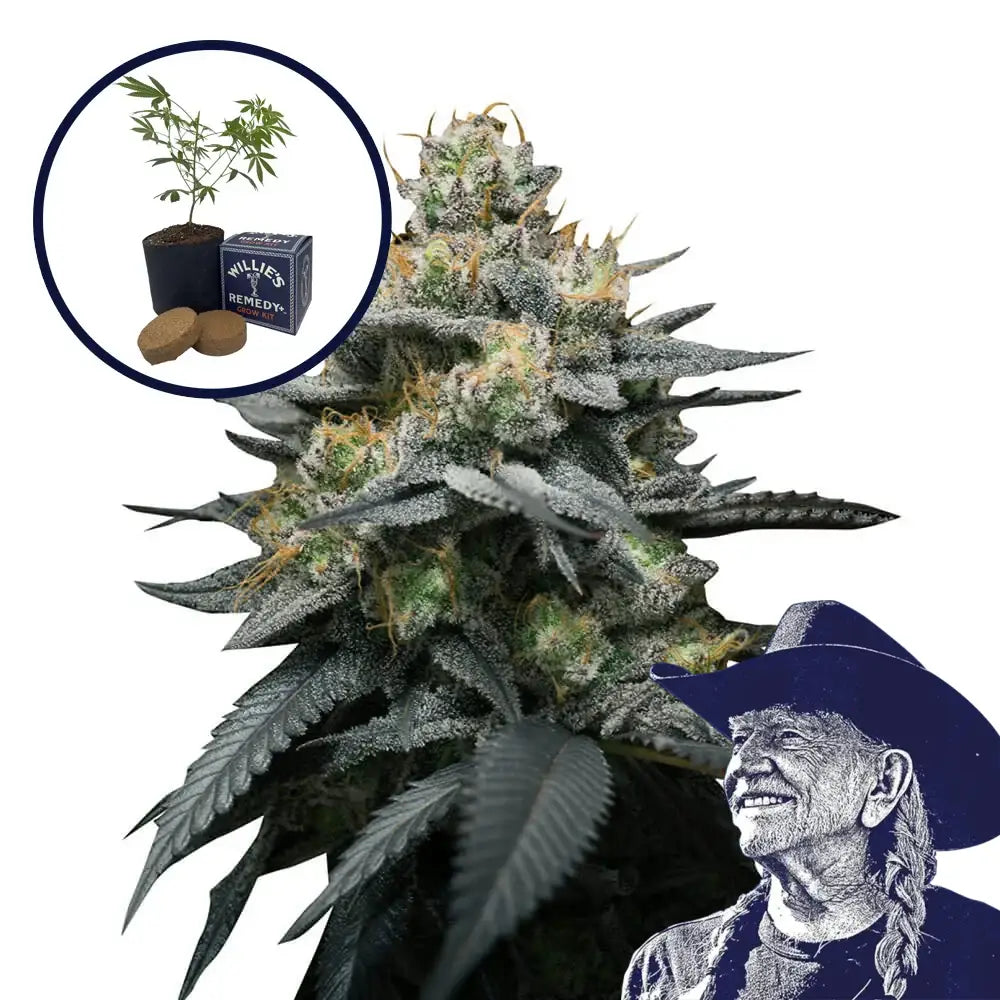Kush Mint Grow Kit