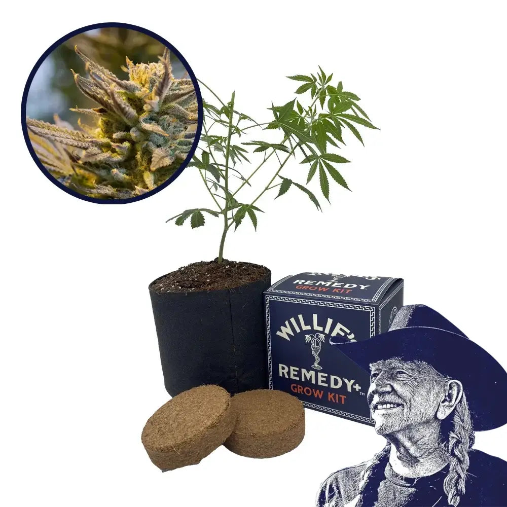 LA Confidential Strain Grow Kit