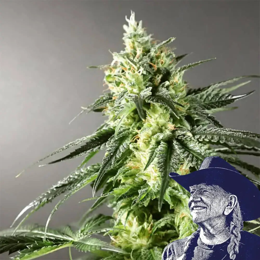 Larry OG