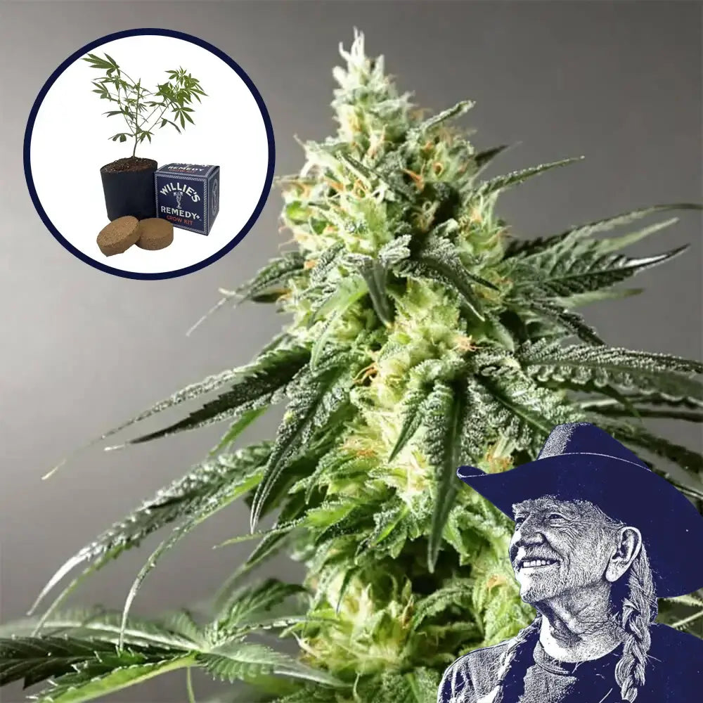 Larry OG Grow Kit