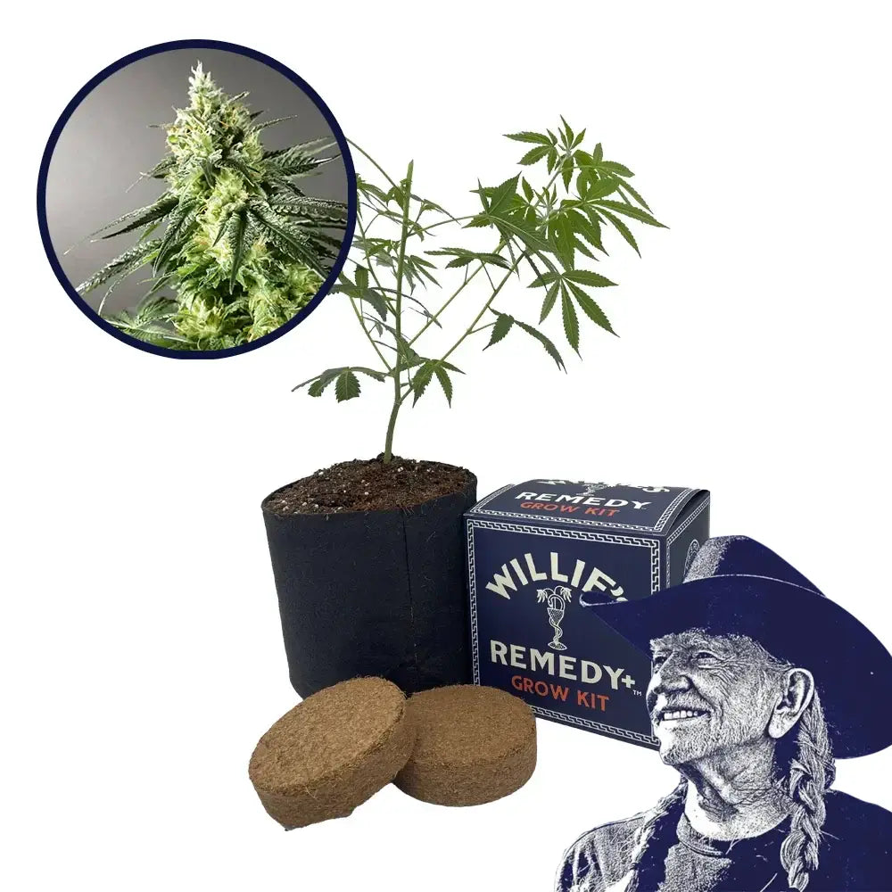 Larry OG Strain Grow Kit