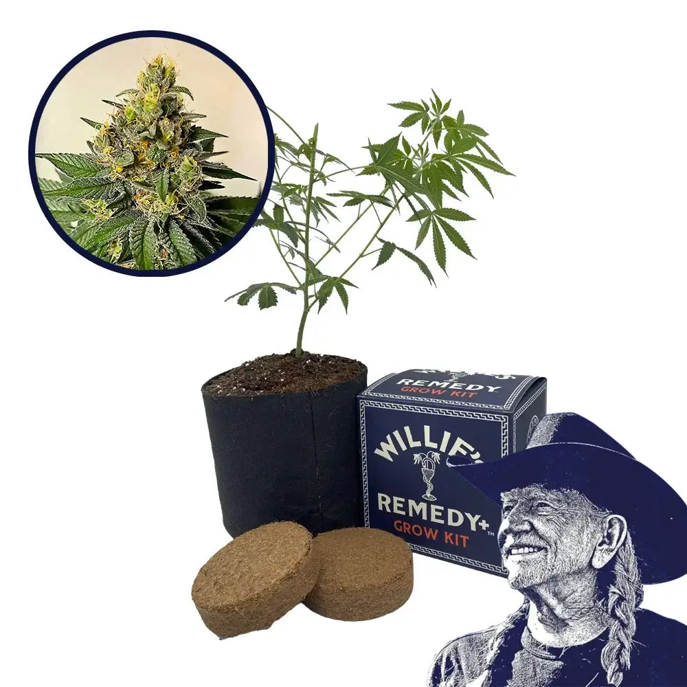 Legend OG Strain Grow Kit