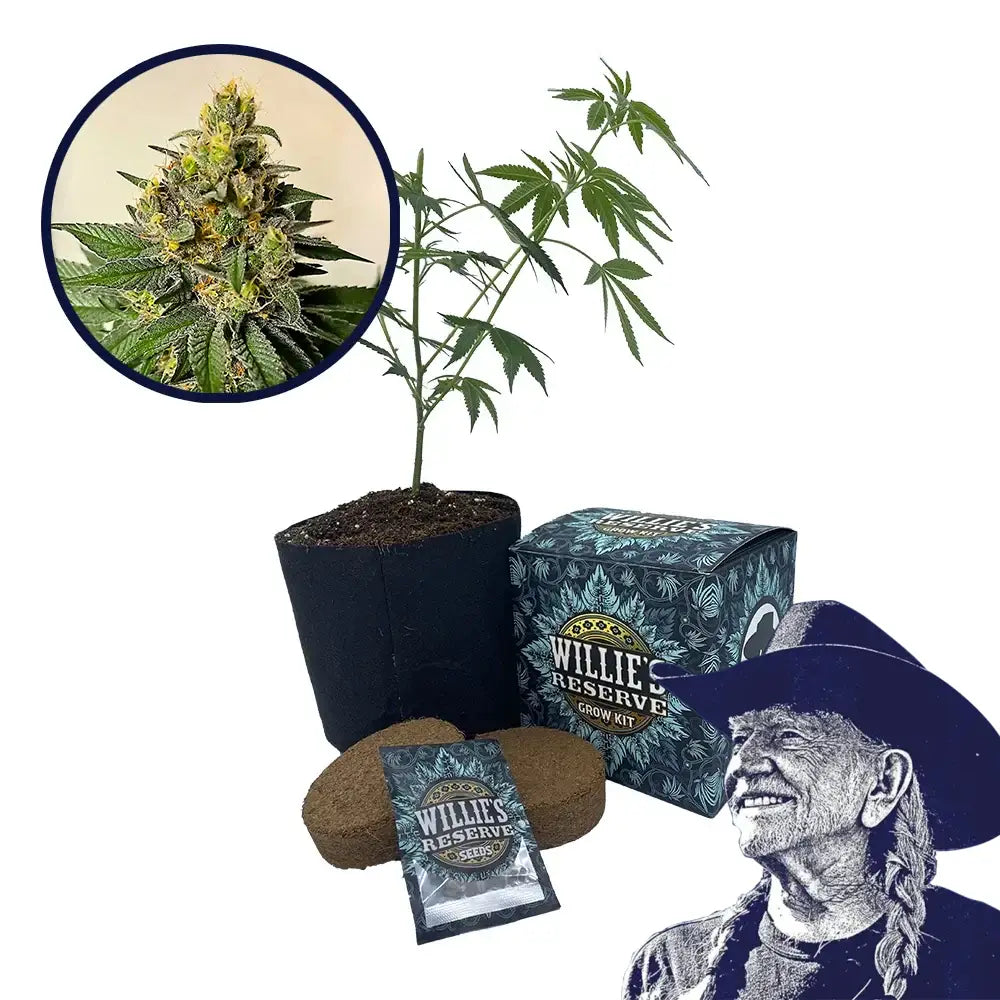 Legend OG Strain High Yield Grow Kit