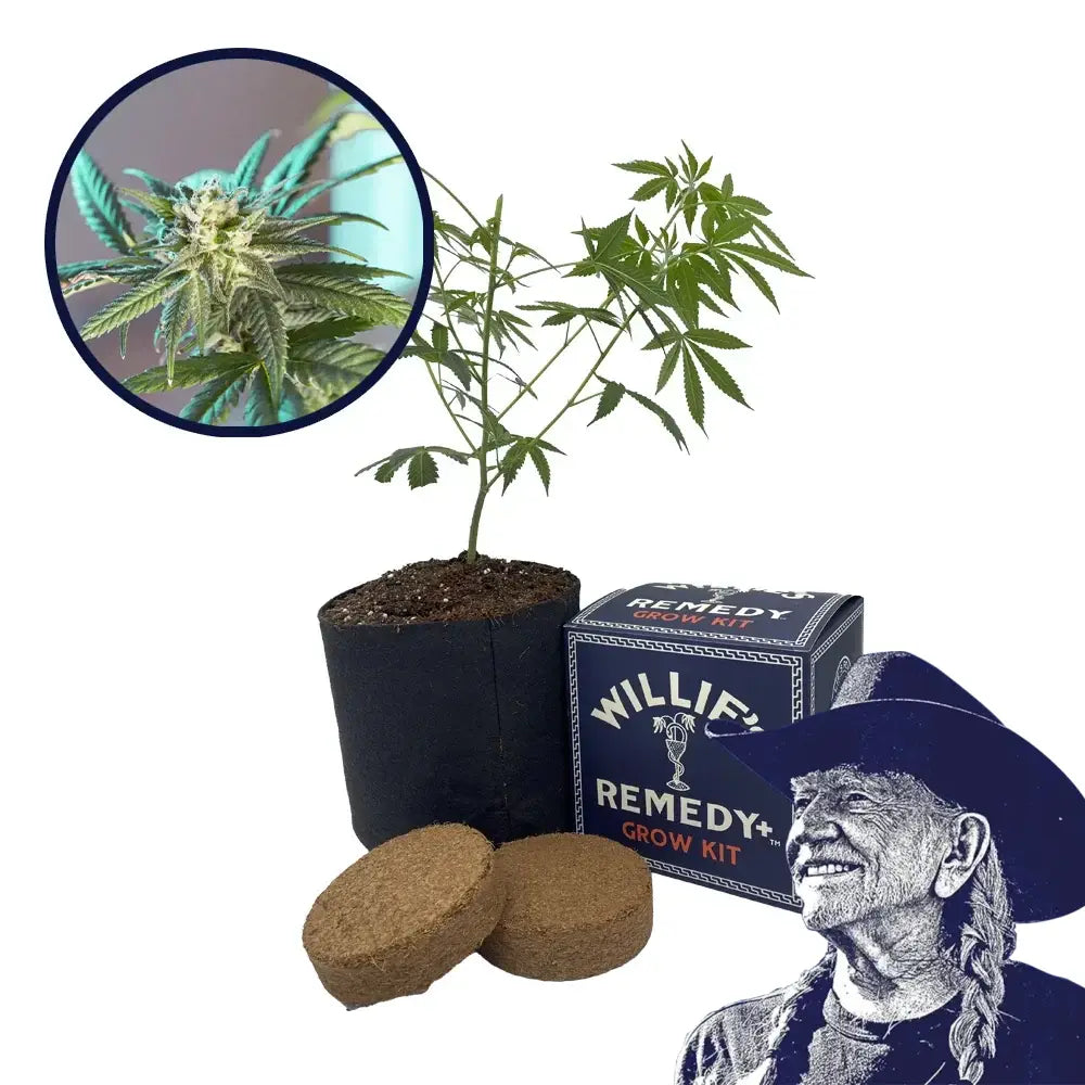 LSD Strain Grow Kit