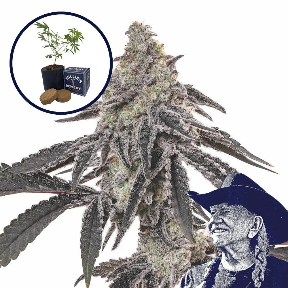MAC 1 Grow Kit