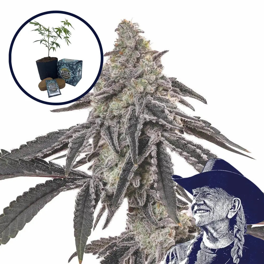 MAC 1 High Yield Grow Kit