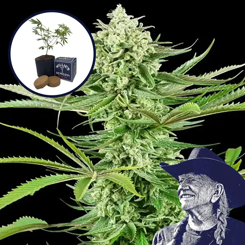 Malibu OG Grow Kit