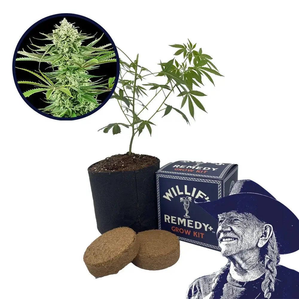 Malibu OG Strain Grow Kit